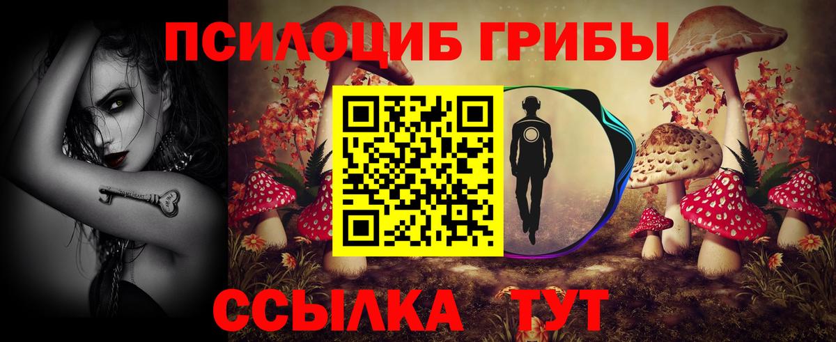 Псилоцибиновые грибы Psilocybe Россия